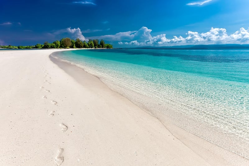 Tropical Island Beach