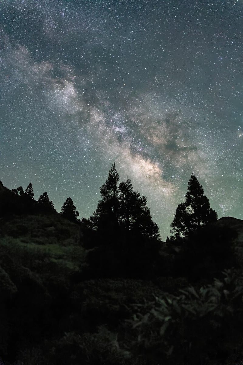 Travelers under the Milky Way